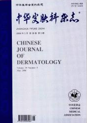 书籍照片
